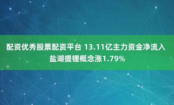 配资优秀股票配资平台 13.11亿主力资金净流入 盐湖提锂概念涨1.79%