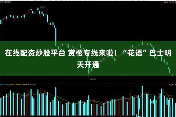 在线配资炒股平台 赏樱专线来啦！“花语”巴士明天开通